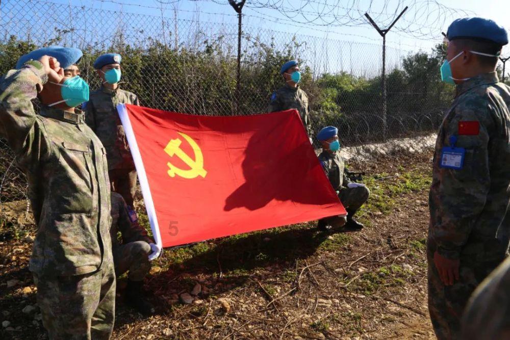 空闲农场