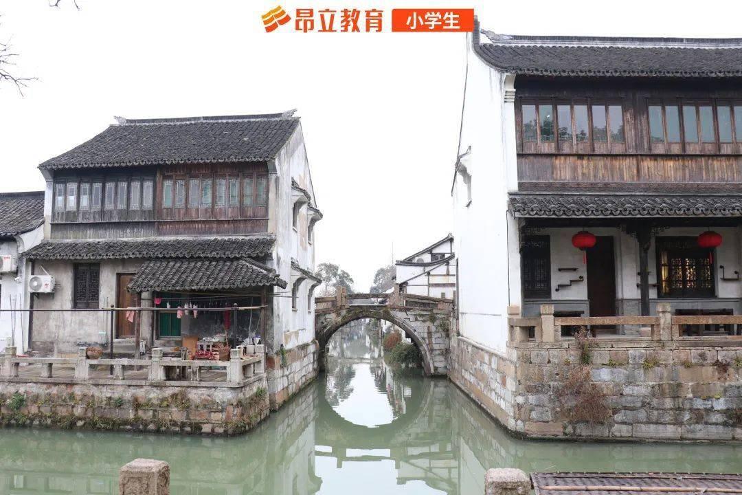 奇妙恐龙世界